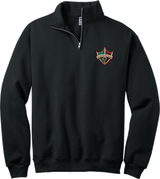 Delaware Ducks NuBlend 1/4-Zip Cadet Collar Sweatshirt