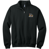 Dupage Black Bears NuBlend 1/4-Zip Cadet Collar Sweatshirt