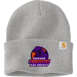 Chicago Phantoms Carhartt Watch Cap 2.0